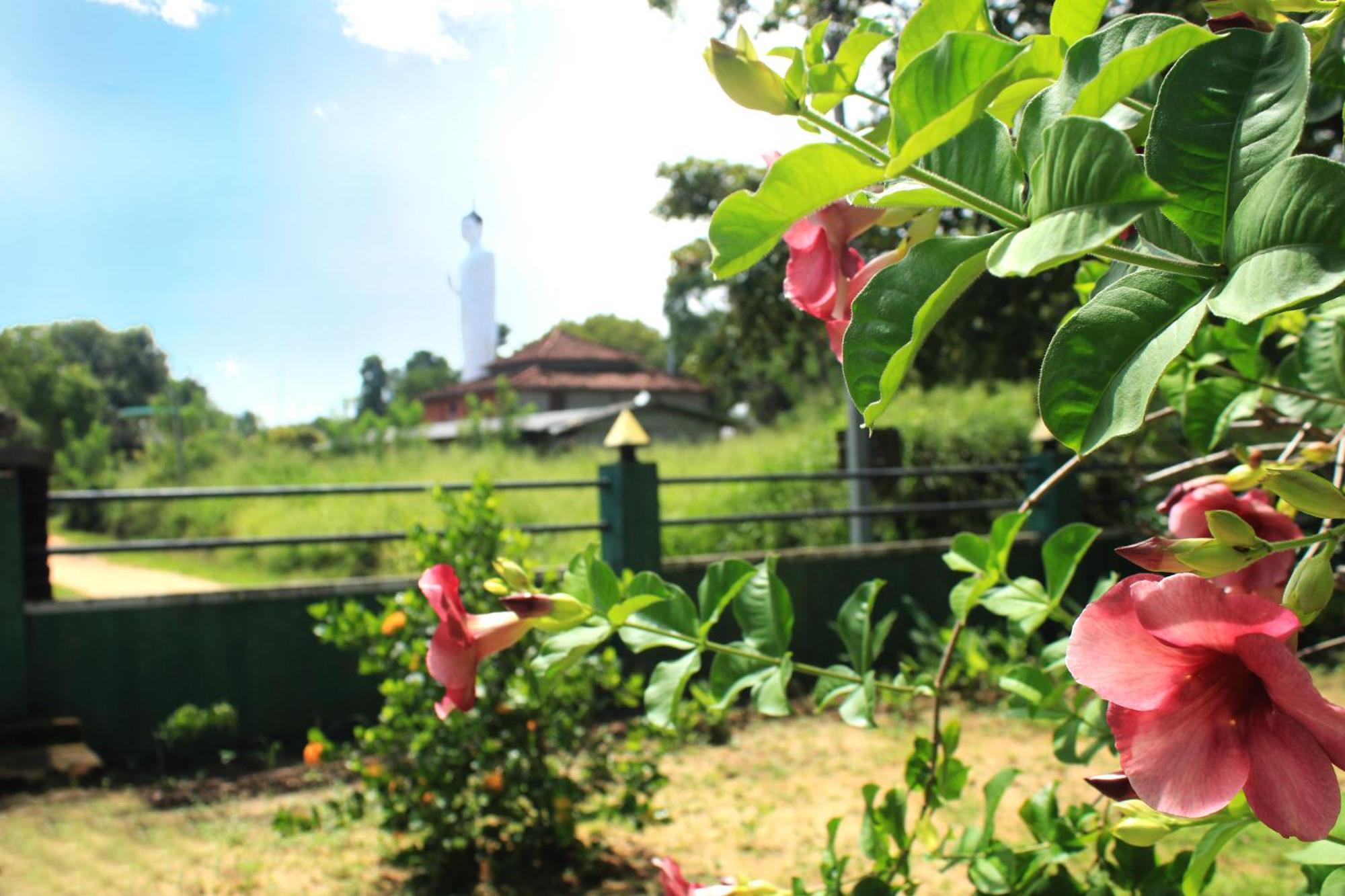Green Hut Nature Resort Sigiriya Exterior foto